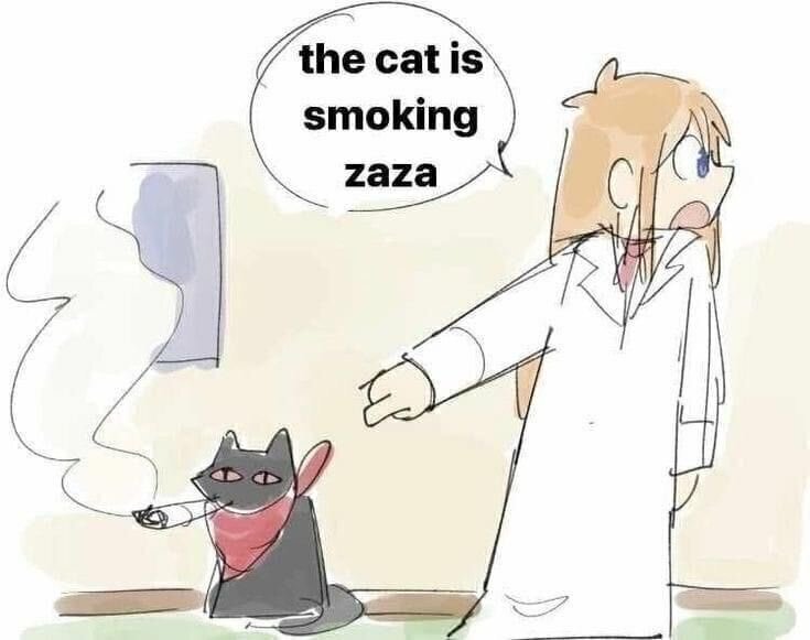 the cat is smoking zaza